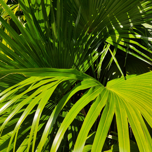 男女被❌到爽🔞流乳液
